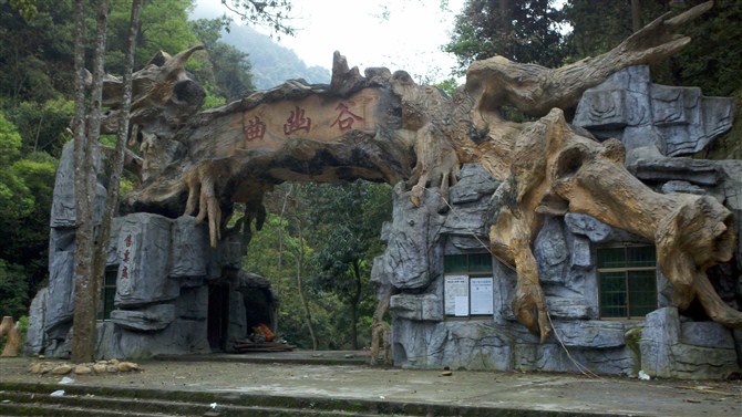 成都仿真假樹(shù)客戶見(jiàn)證