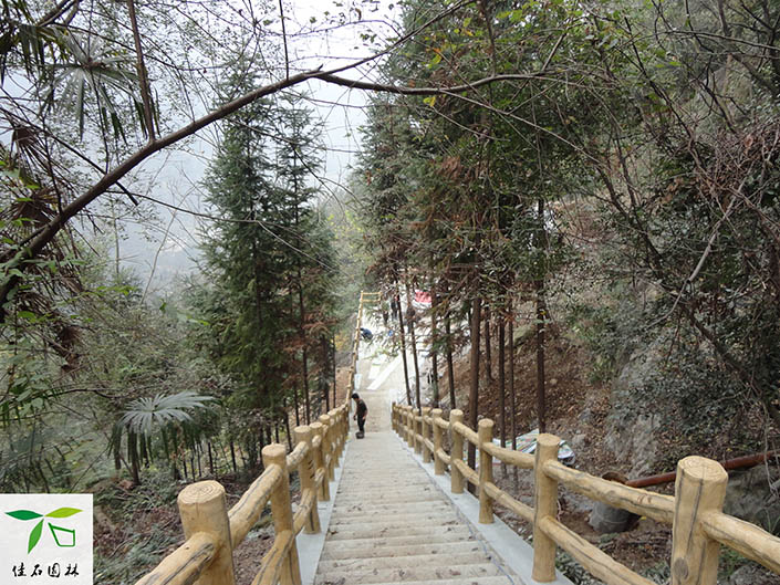 成都grc假山制作客戶見(jiàn)證