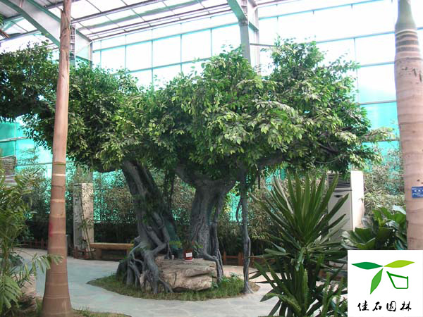 成都grc假山制作公司聯系方式