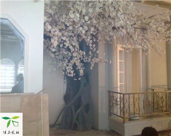 成都仿真假樹(shù)合作客戶